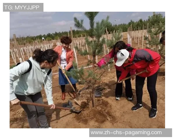张鹭足球生涯回顾与未来展望追寻绿茵场上的梦想与坚持